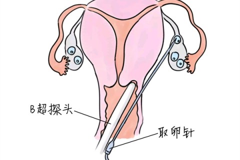 http://chengdu.huochezhan.net/post/205.html|成都供卵助孕