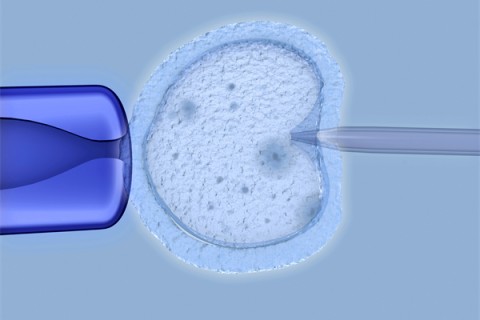 http://chengdu.huochezhan.net/post/208.html|成都捐卵费用