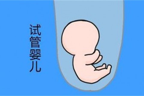 培养成都捐卵宝宝艺术细胞的小技巧