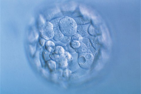 http://chengdu.huochezhan.net/post/200.html|成都新闻中心