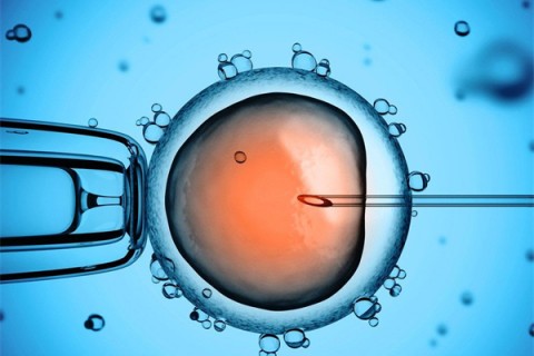 http://chengdu.huochezhan.net/post/199.html|成都供卵助孕